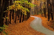 fall-winding-rd fall-winding-rd