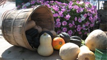Farmersmarkets Farmersmarkets