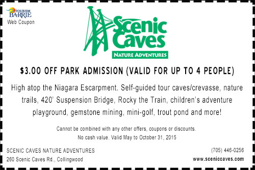 Scenic world discount coupons