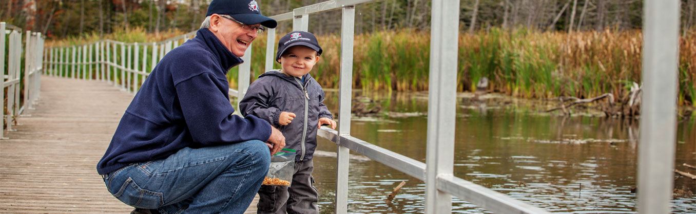 Birding in Barrie