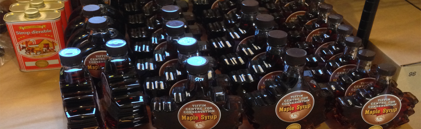 Maple Syrup