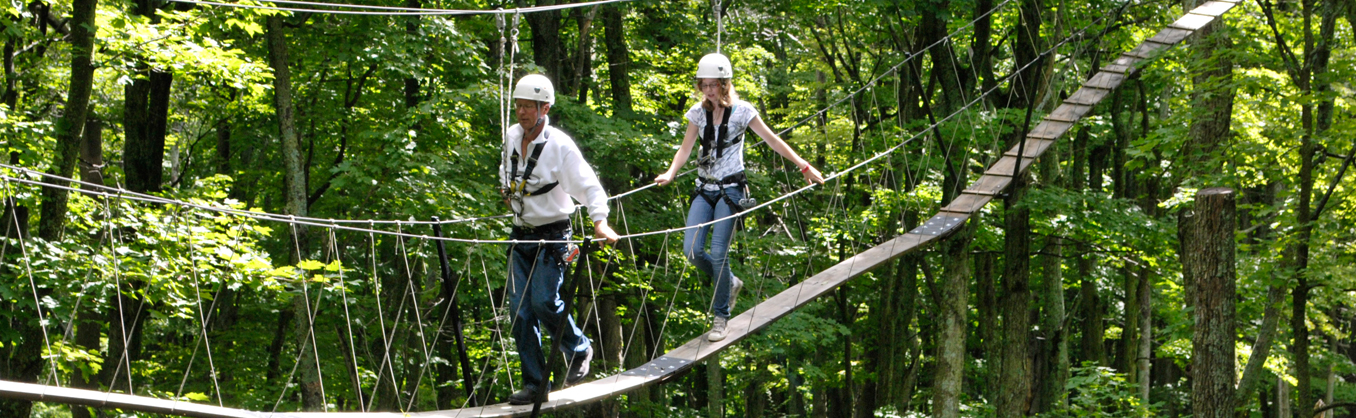Things to Do - Canopy Tours