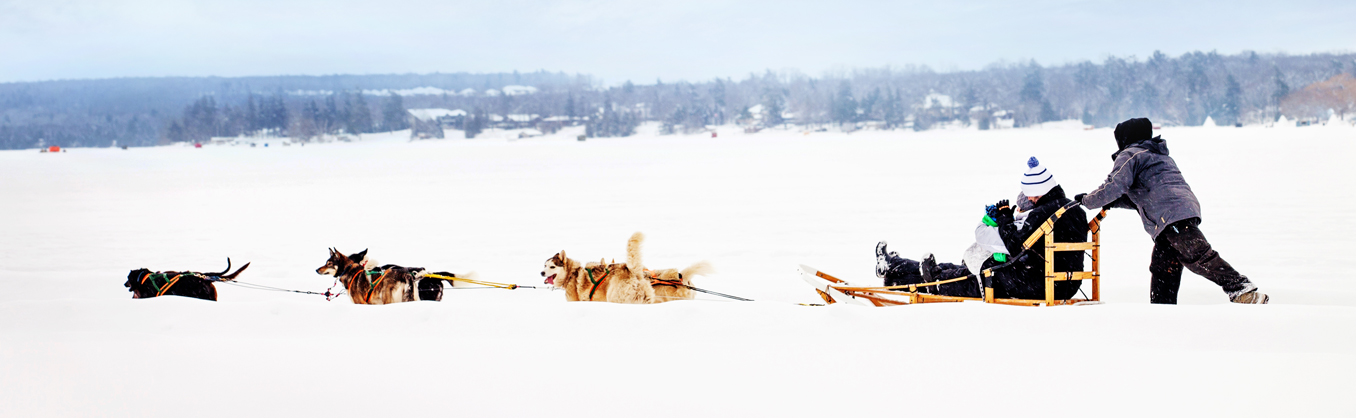 Things to Do - Dog Sled & Sleigh Rides
