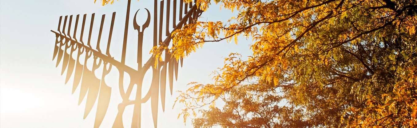 Things to Do - Fall Colours