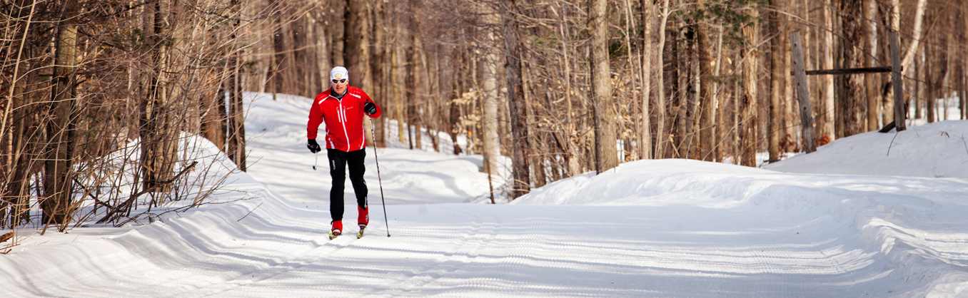 Cross Country Skiing in Barrie