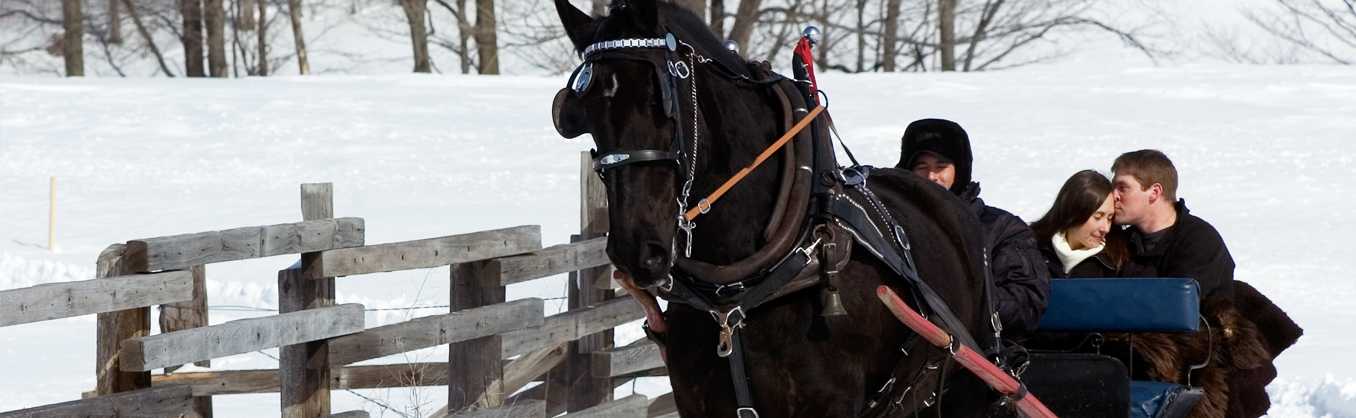 Couple enjoying a sleigh ride in the winter