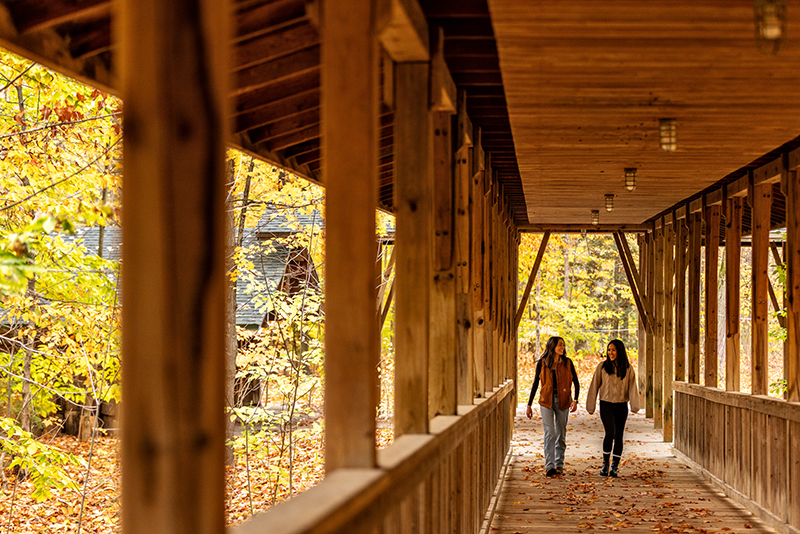 Tiffin_Trails26 Forest trail and wood bridge surrounded by fall colours at Tiffin Centre for Conservation