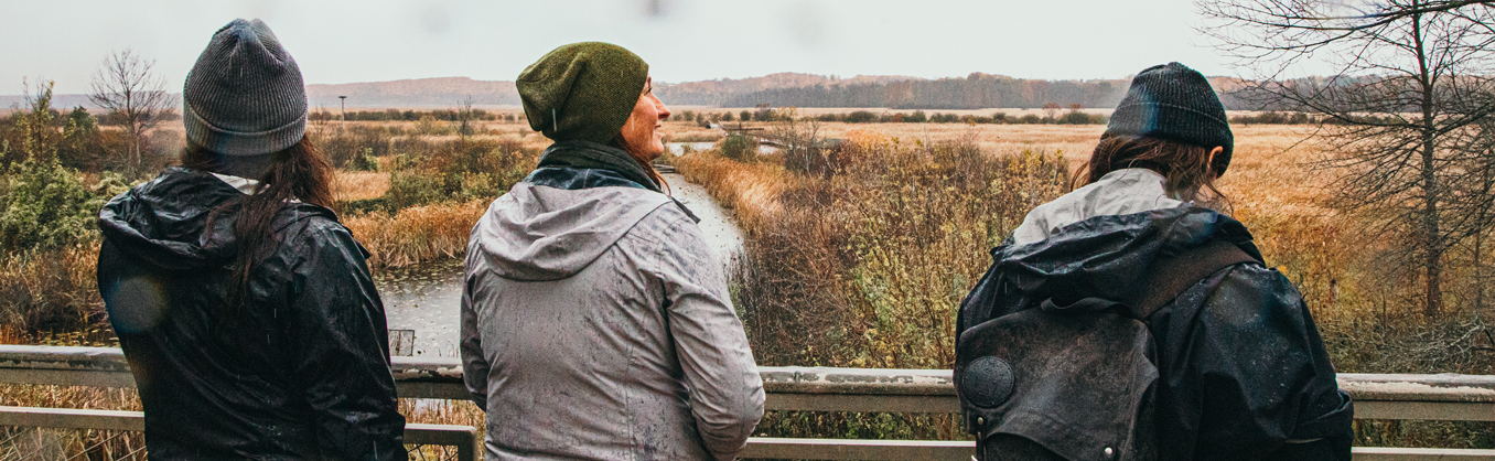 Three girls looking over bridge at wye marsh