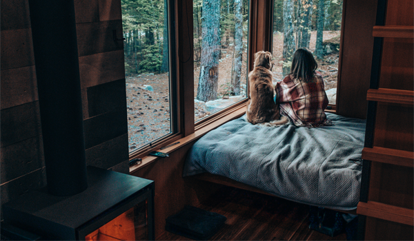 girls and dog looking out window