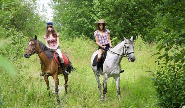 Horseback Riding Barrie