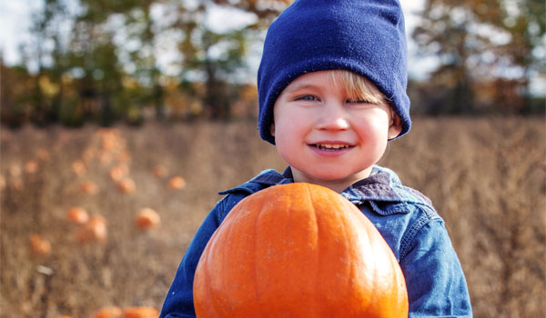 Pumpkin Picking and Fall Events