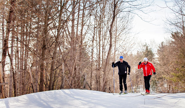 Cross Country Ski Barrie