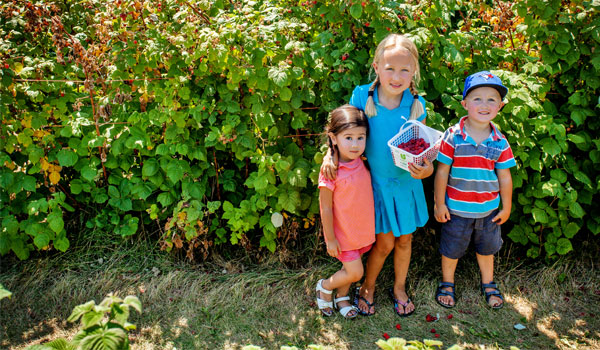 Barrie Hill Farms