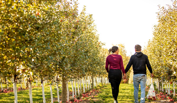 Cultinary-Farms-600 Cultinary-Farms-600