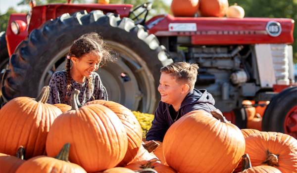 two kids at a pumpkin farm