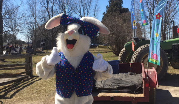 Chappell Farms Spring Festival