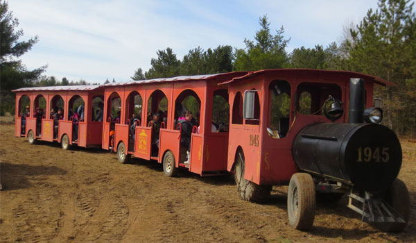 Easter Train at Drysdale Tree Farm