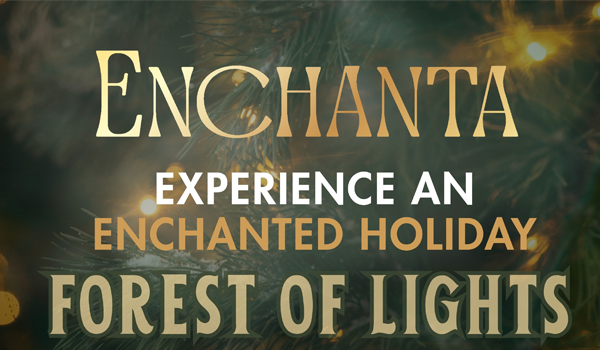 Enchanta Holiday Forest