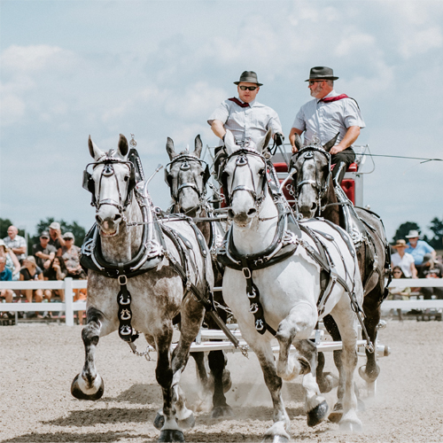 Essa National Draft Horseshoe Show