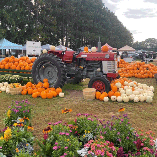 Fall Fun Days Barrie Hill Farms