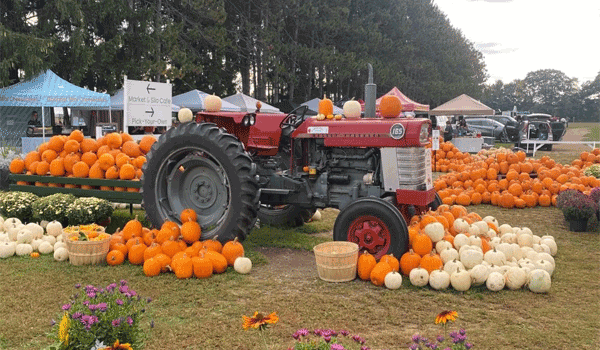 Barrie Hill Farms - Fall Fun Days