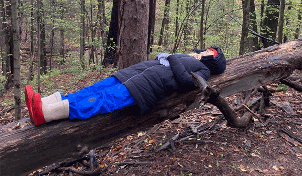 Forest Bathing