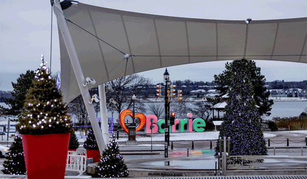 Tree Lighting Celebration
