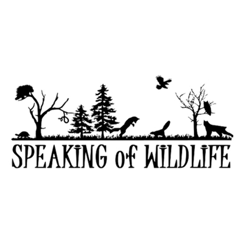 SpeakingofWildlife Speaking of Wildlife