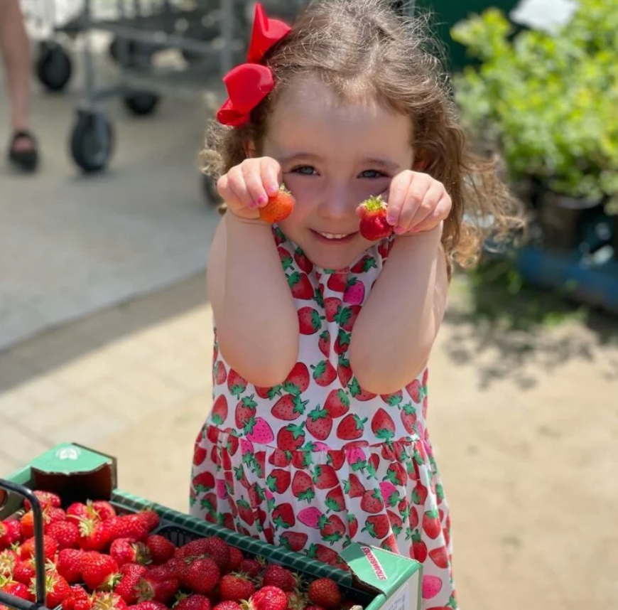 Strawberry Festival