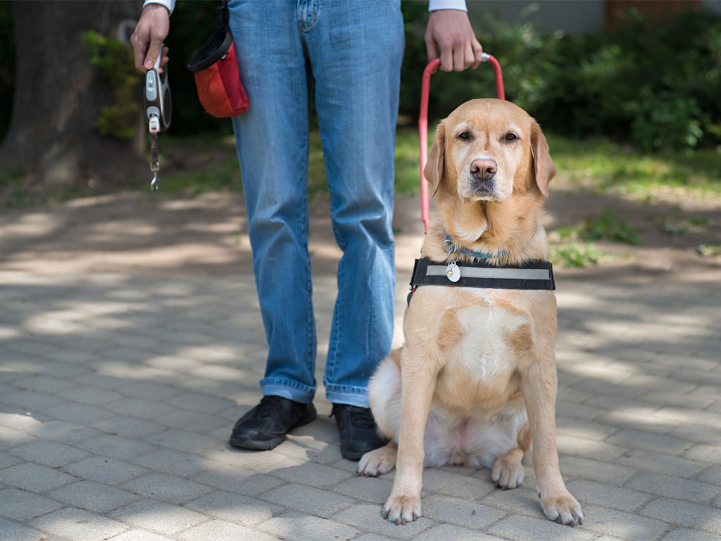 Accessible Ontario