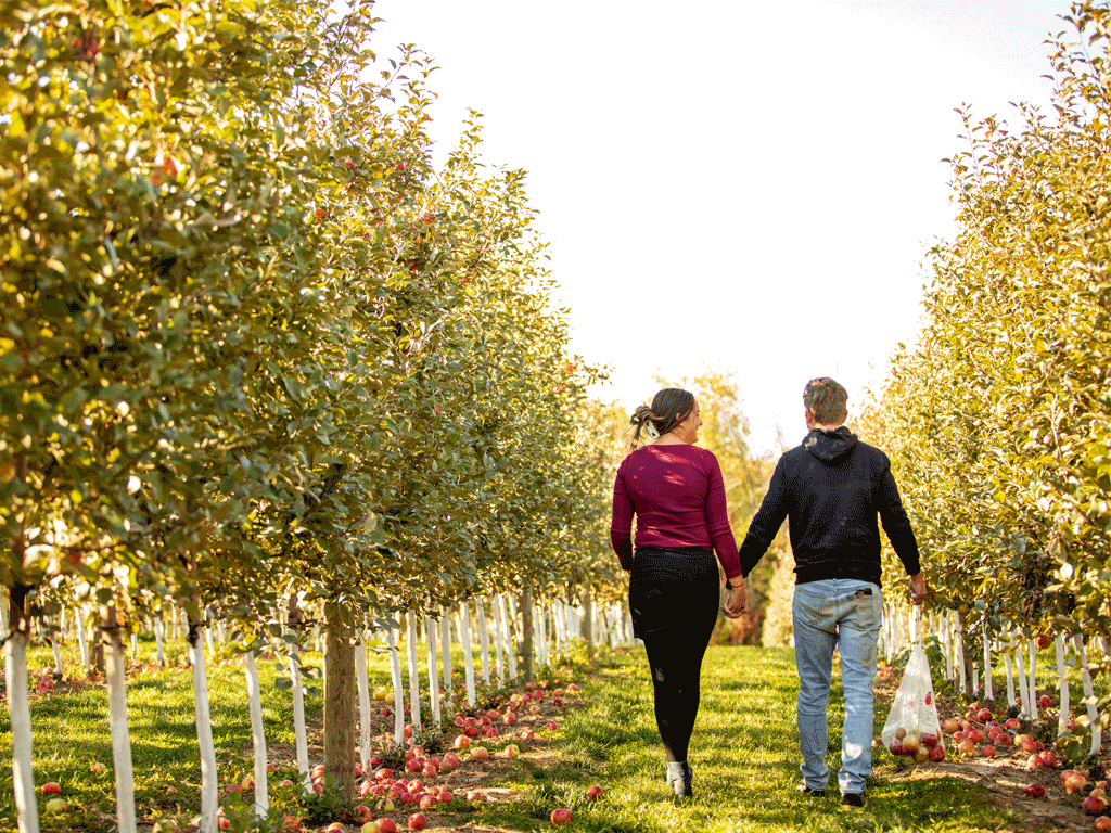 Fall Festivals Getaway