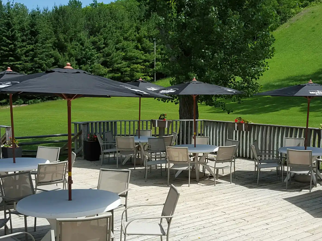 Summer picture of the back patio at Snow Valley