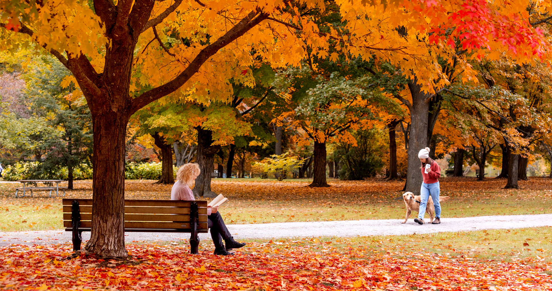 FallBanner_BlogDetail