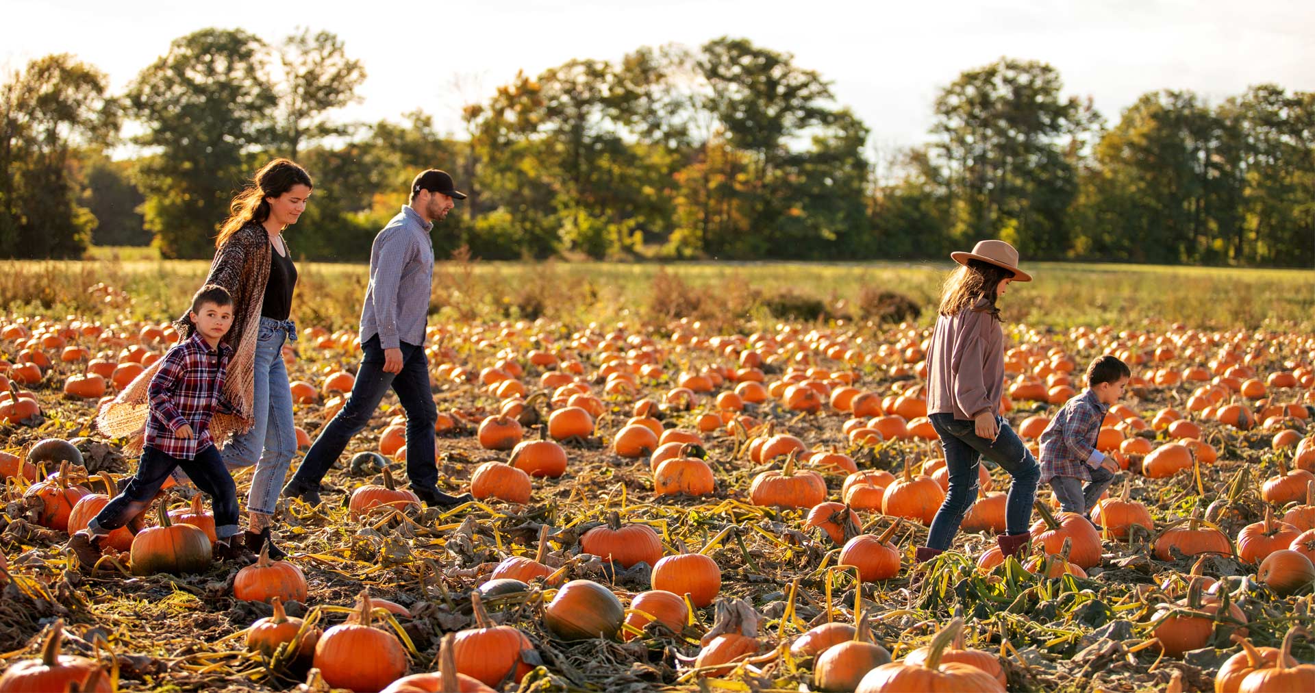 Fall Pumpkin Patch