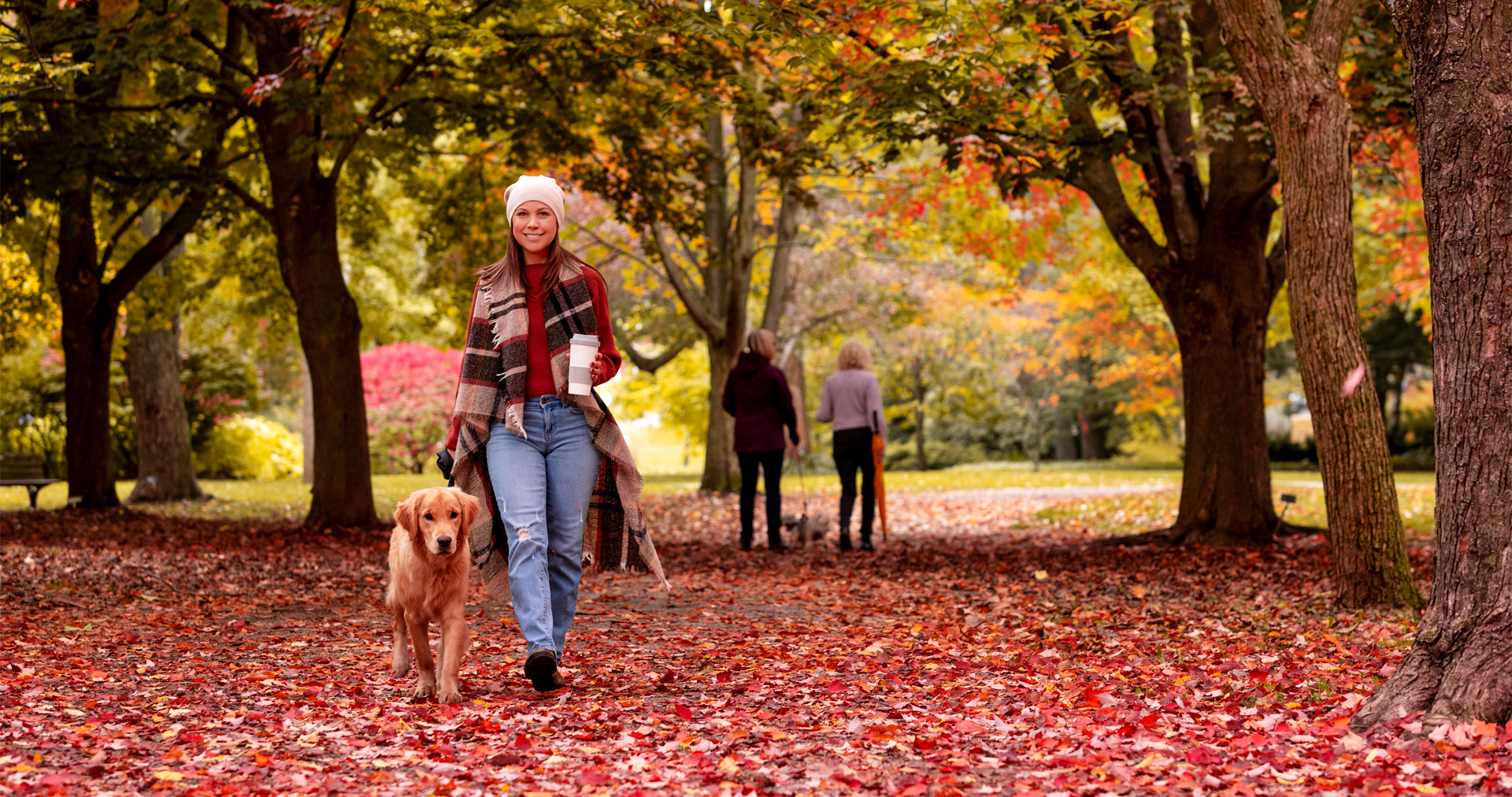 Fall Sunnidale Park