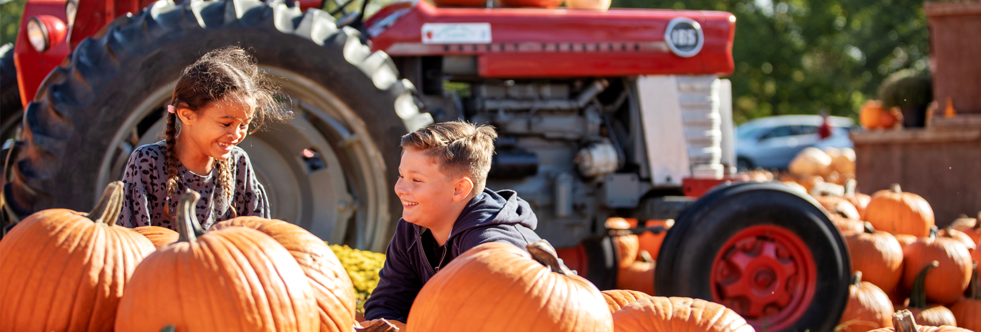 PumpkinPatch