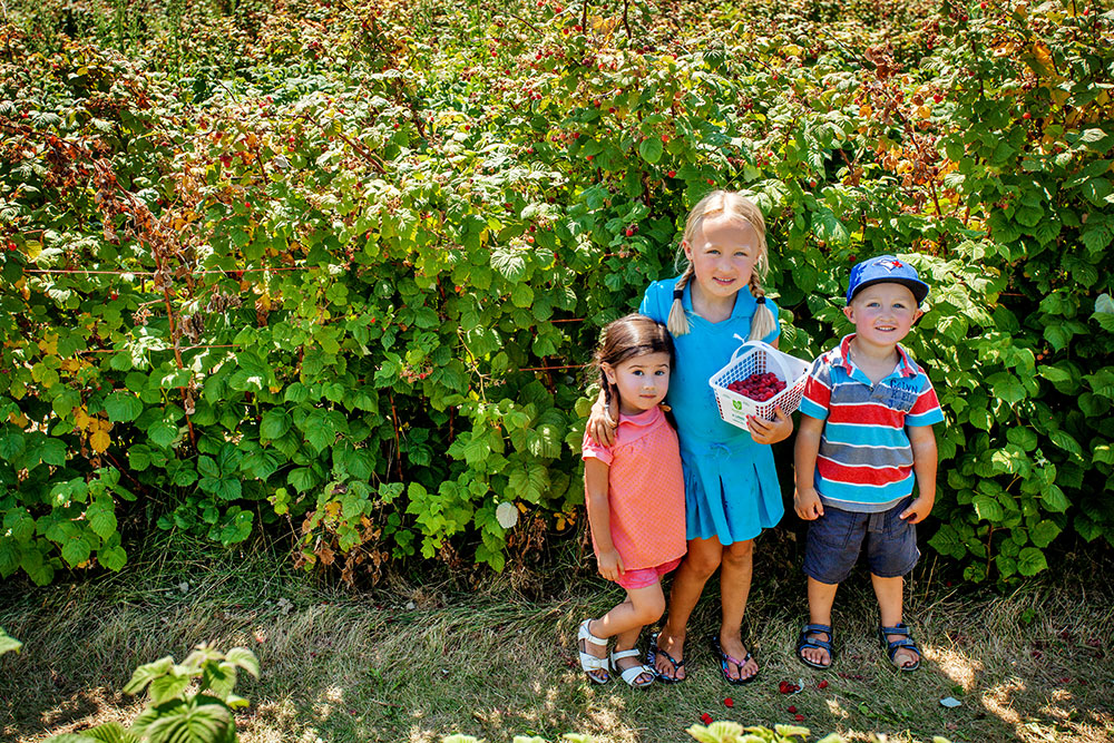 Barrie Hill Farms - Field