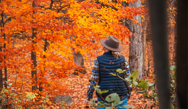 Fall_Blogthumbnail Fall_Blogthumbnail