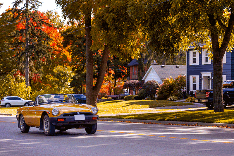 Fall Colours in Barrie