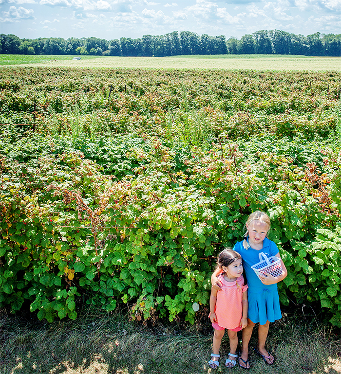 Barrie Hill Farms