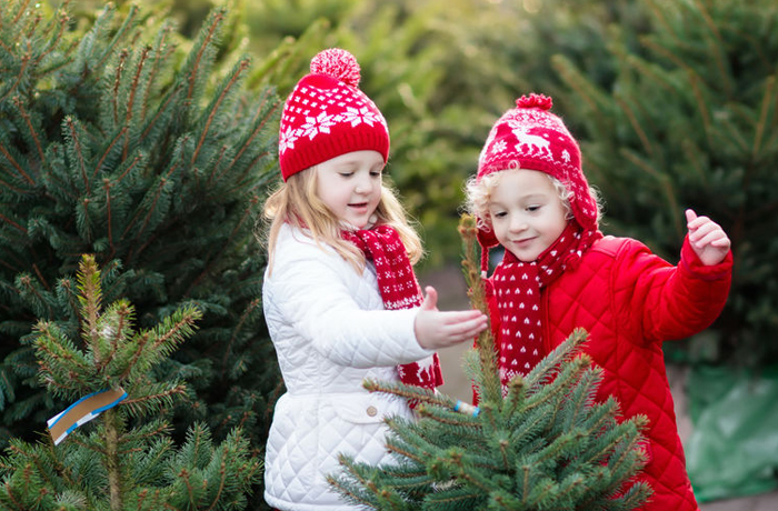 Markets Christmas markets - kids picking trees