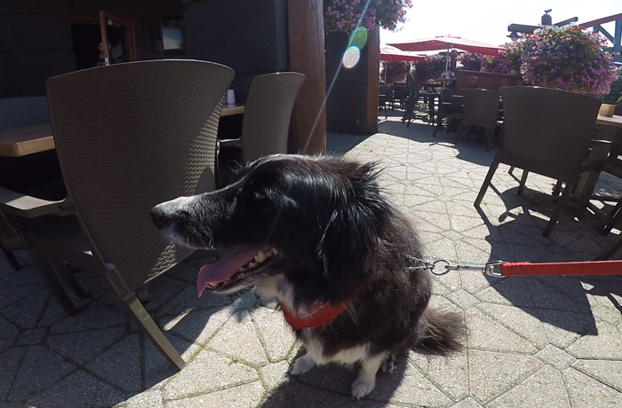 Moosewinooski_Patio Moose Winooski Patio
