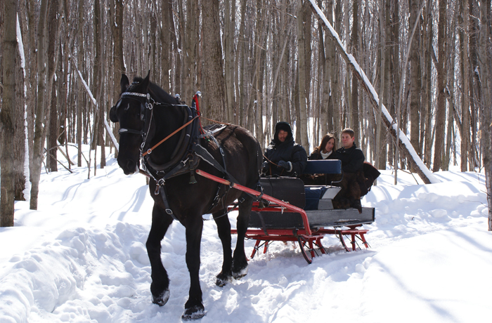 SleighRides Sleigh Rides