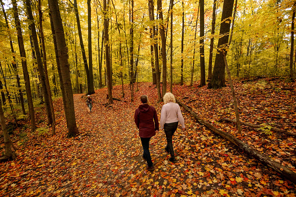 Sunnidale-Park_Fall Autumn leaves and forest trail at Sunnidale Park in Barrie