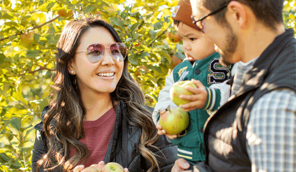 Family Apple Picking