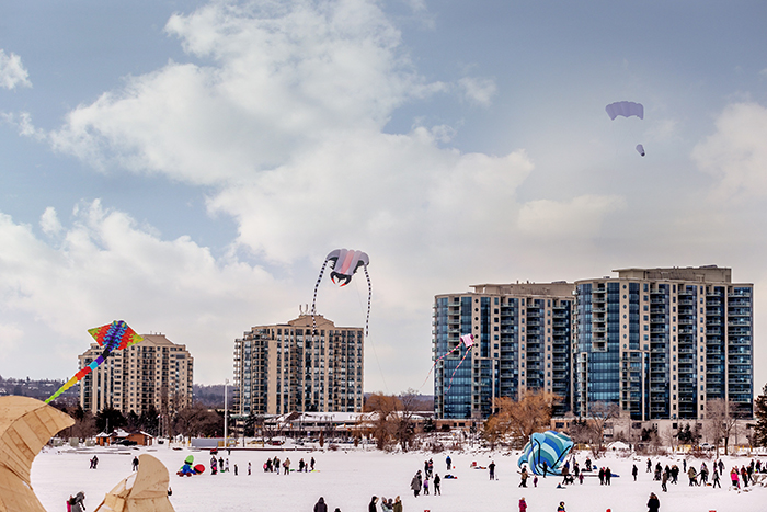 Winterfest Kites