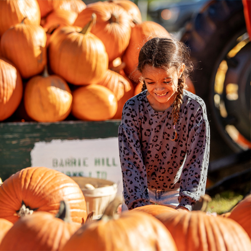 BarrieHillFarms