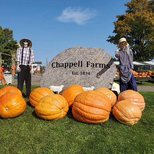 ChappellFall_COE ChappellFall_COE