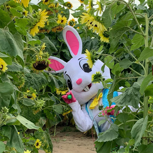 EggHunt_RoundsRanch