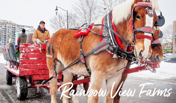 RainbowViewFarms